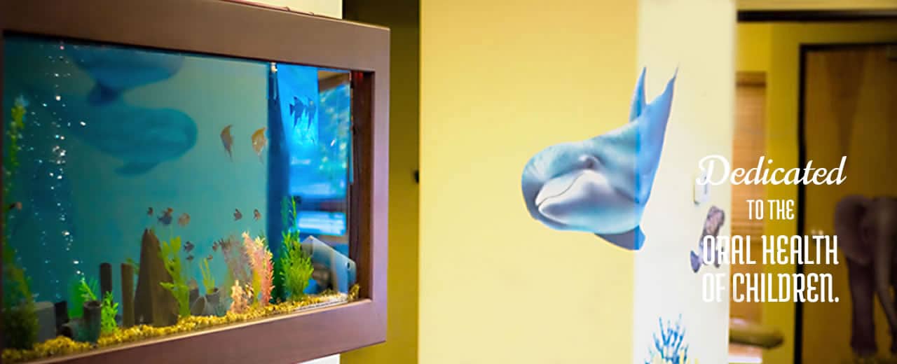 Pediatric Dentistry Portland Or Dr Todd Young Dds